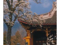 -天目山自然保护区