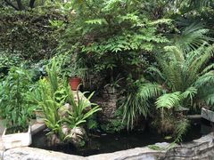 -山大王菌莊