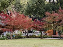 -申粤轩酒楼·三十年粤菜经典(丁香花园店)