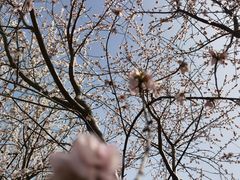 -东丽湖风景区