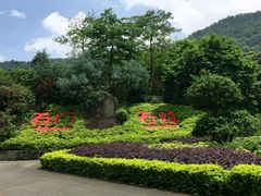 -广州市石门国家森林公园