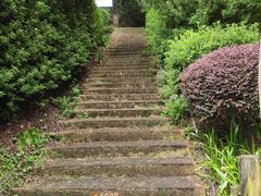 -雁南飞茶田景区