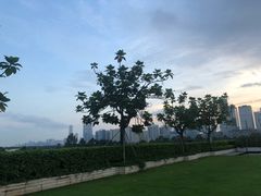 -棕榈泉国际高尔夫学院