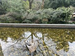-法云安缦酒店