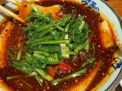 -左陕右甘(亚运村店)