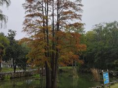 -青龙山国家森林公园
