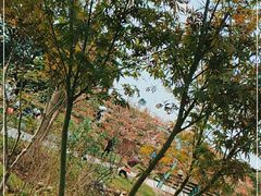 -都江堰玫瑰花溪谷