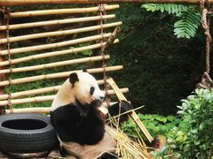 -黔灵山公园