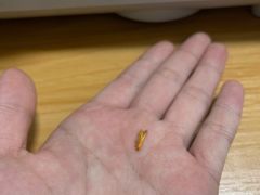 -锅圈食汇火锅烧烤食材超市(民丰家园店)