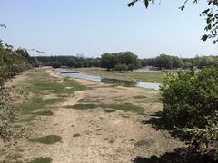 -北京麋鹿生态实验中心