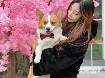 出去旅游也不担心自家毛孩子啦～乾橙宠物帮你呵护宝贝们