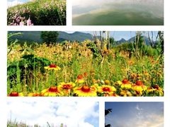 -武陵山森林公园
