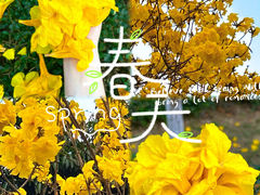 -洲头咀公园