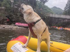 -安吉龙王山峡谷漂流