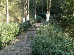 -五龙客家风情园