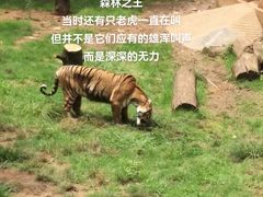 -昆明动物园