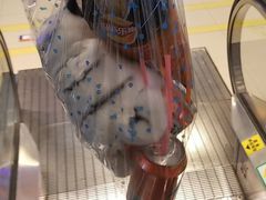 -小象猛犸(炫地购物中心店)