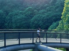 -临平公园(临平街道)