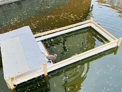 -华东师范大学第二附属中学(张江校区)