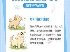 -lincat·猫舍(广州店)