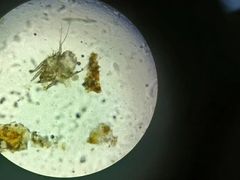 -瑞派雷欧宠物医院·24h夜诊·心脏骨科牙科·全科重症转诊中心(无影山店)