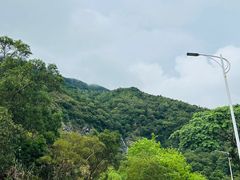 -梧桐山风景名胜区