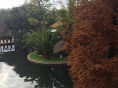 iphone_upload_pic-抚仙湖万达文华酒店