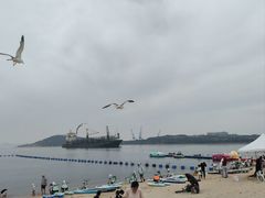 -海驴岛(荣成市)