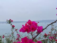 -涠洲岛火山国家地质公园