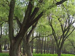 -共青国家森林公园-售票处