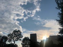 -新航道雅思托福·留学·考研培训(人民广场校区)