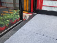 -燕风楼烤鸭店(建设总店)