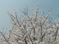 -龙美术馆(西岸馆)