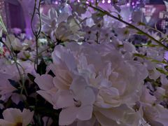 -东方御花园酒店