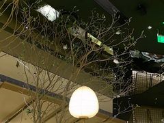 -桂满陇·海市蜃楼·黑金(国金店)