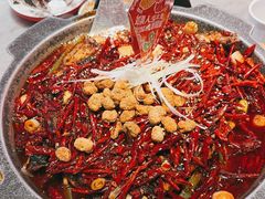 -南锣肥猫·麻辣烤鱼·15年现烤现卖(通州领展店)