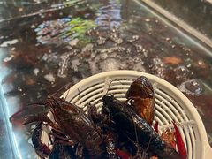 -阿胖龙虾小海鲜(宁国南路总店)