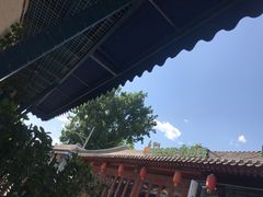 -Sirena海妖日咖夜酒