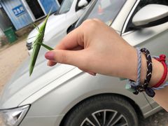 -野三坡刘家河高山漂流