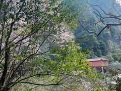 -庐山碧龙潭风景区