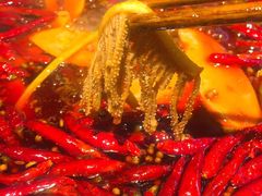 -蜀大侠火锅(建设路第五大道店)