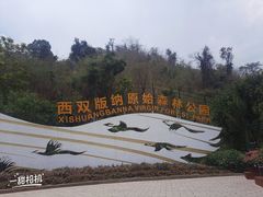 -西双版纳原始森林公园