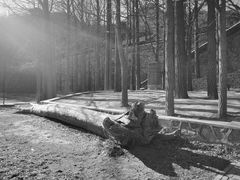 -阳台山自然风景区