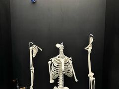 -TOP健身私教工作室(侨香店)