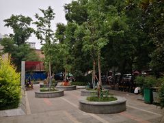 -马文章胖子甑糕(洒金桥店)