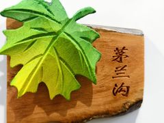 -茅兰沟国家森林公园