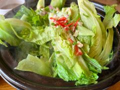 砂锅生啫云南BB脆生菜-日昌餐馆(亦庄店)