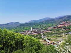 -一盏明灯全素斋(殊像寺店)