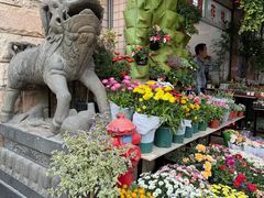 -溪岸路花鸟市场