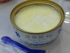 -德禄酸奶(莫家街店)